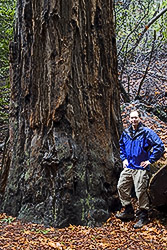 Pfeiffer Big Sur State Park