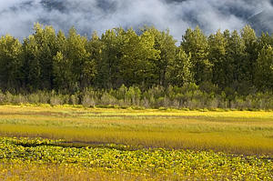 View by lake along highway on the way from Anchorage to Seward.