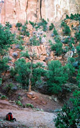 Bandelier National Monument