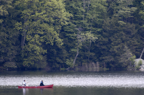 Lake Ellis #2 (May 2003)