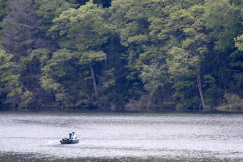 Lake Ellis #3 (May 2003)