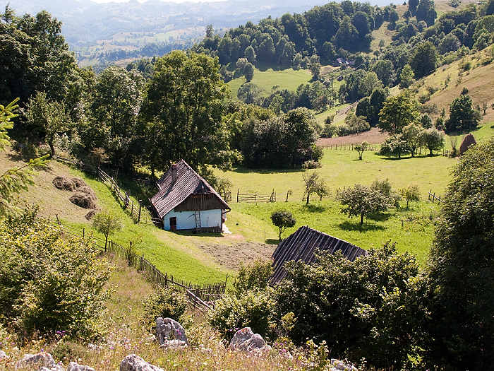 romania09047.jpg